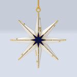 The Starlight Star back